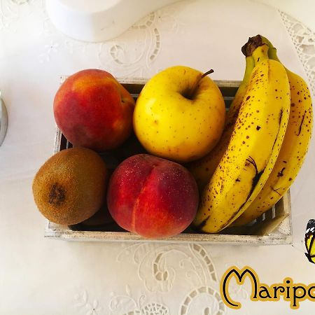Sennori B&B Mariposa المظهر الخارجي الصورة